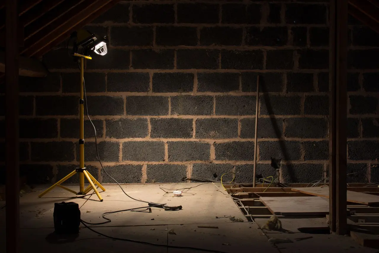 Attic Mold Remediation