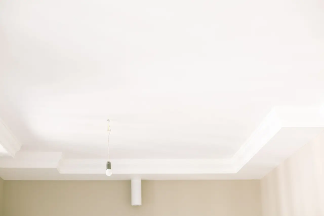 Ceiling Mold Remediation