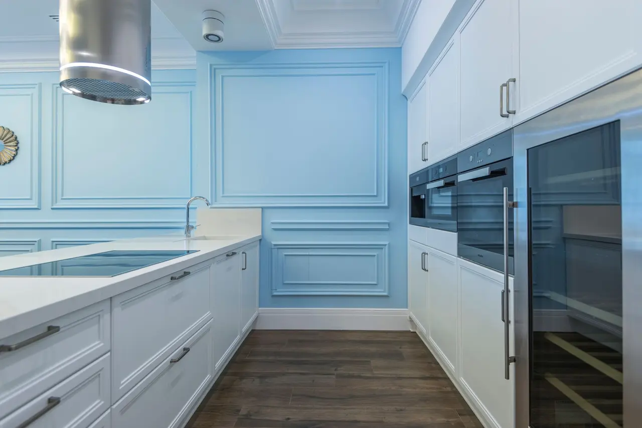 Kitchen Mold Remediation